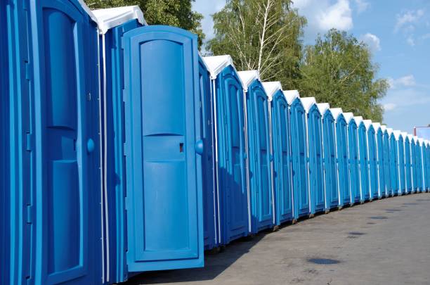 Best Affordable portable toilet rental  in International Falls, MN